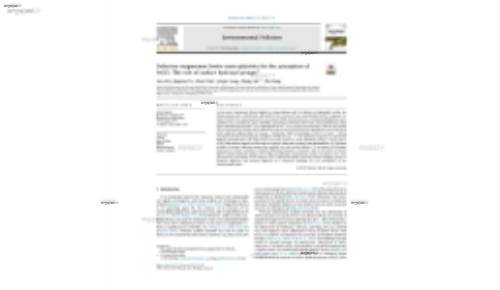 Defective magnesium ferrite nano-platelets for the adsorption of As(V): The role of surface hydroxyl groups*